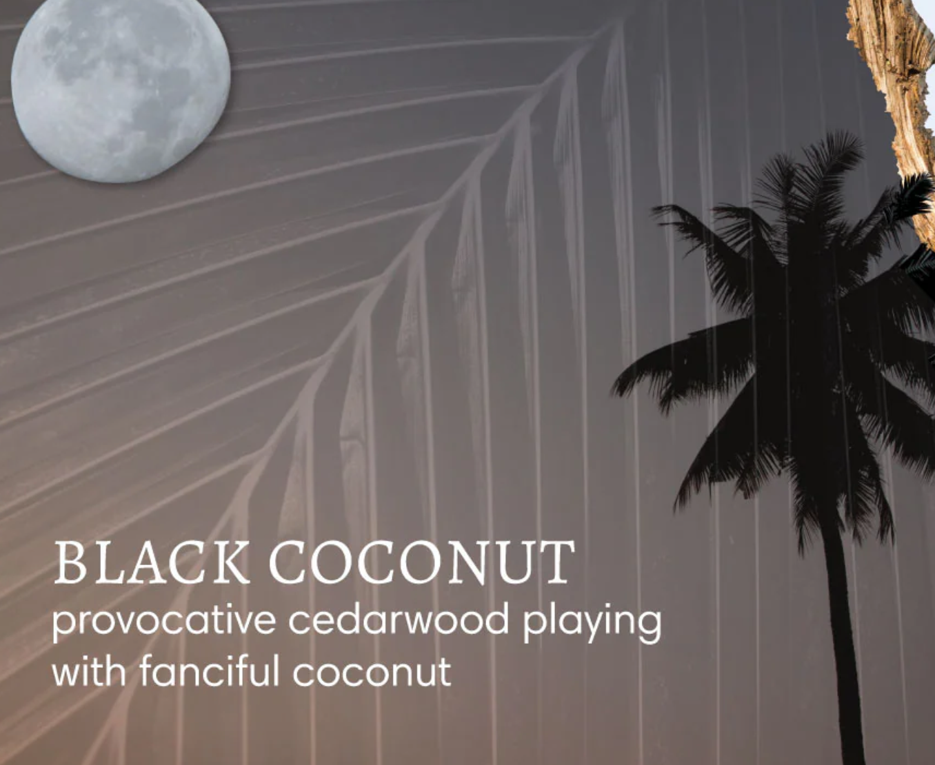 Black Coconut | Mini Bath Soak